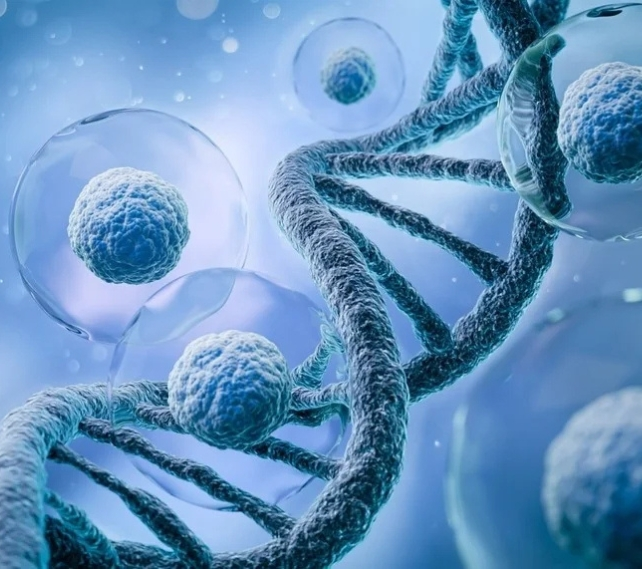 Hereditary Cancer Panel